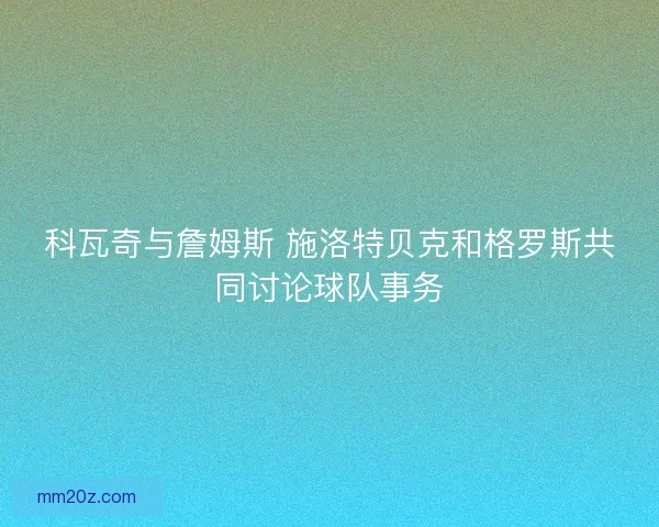 科瓦奇与詹姆斯 施洛特贝克和格罗斯共同讨论球队事务